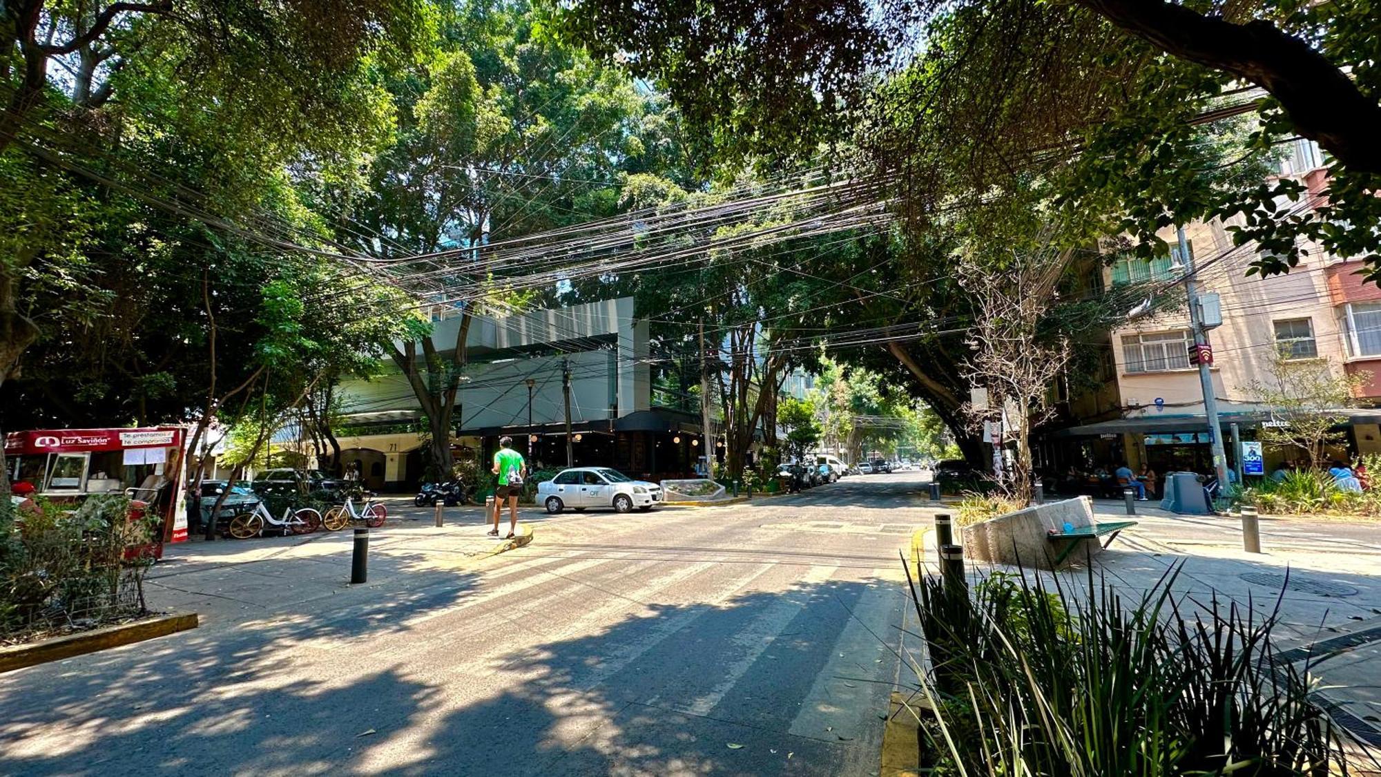 Suites Lerma 205 Mexico City Ngoại thất bức ảnh